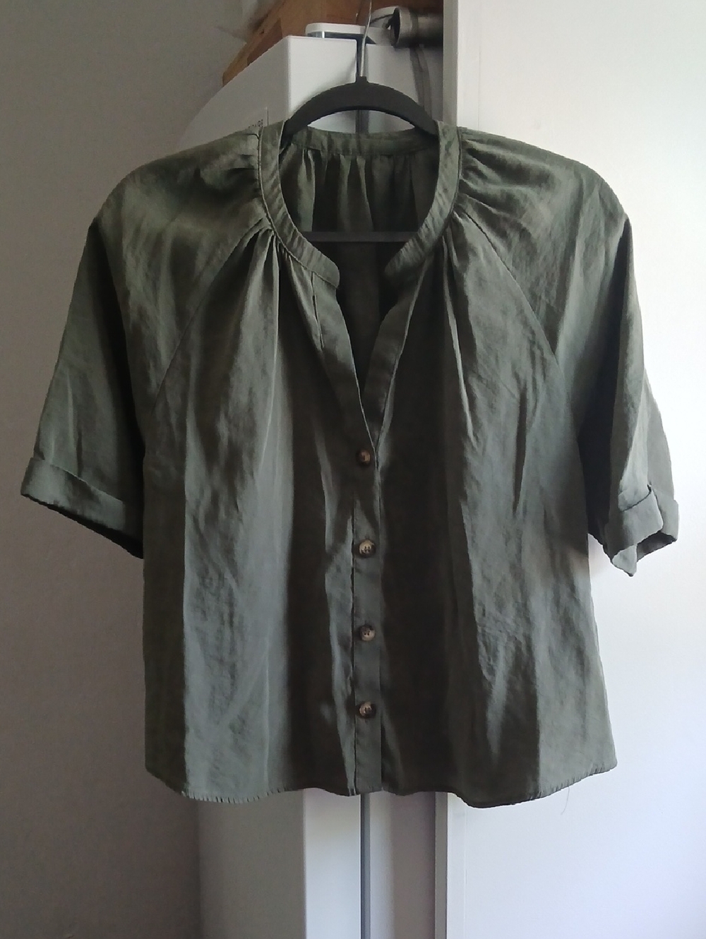 Light Sage Button-Front Blouse